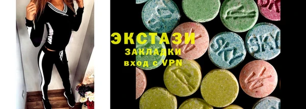 ECSTASY Богородицк