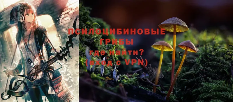 Галлюциногенные грибы Psilocybine cubensis  Алексин 